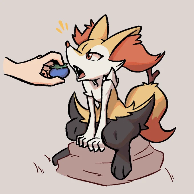 Feed your foxes