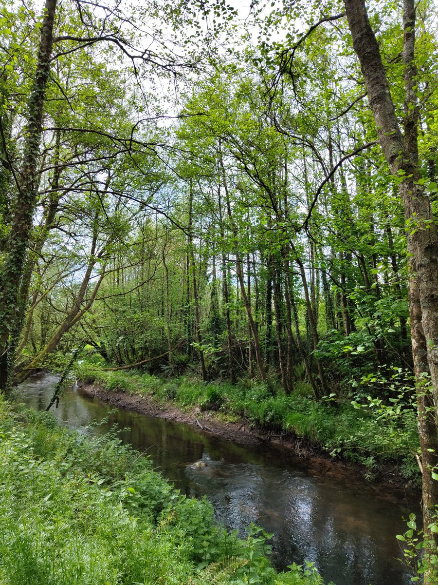 Frank Schiltkamp tweet media