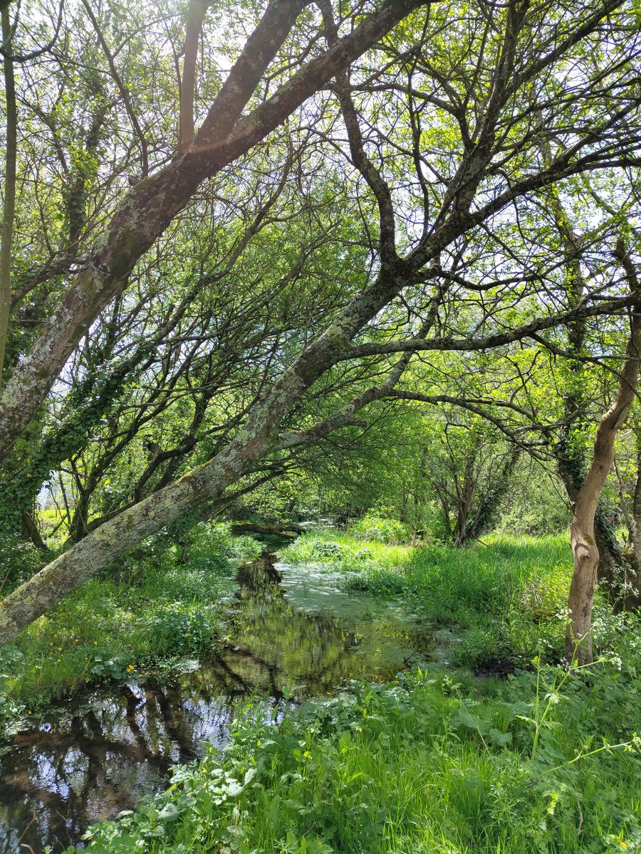 Frank Schiltkamp tweet media