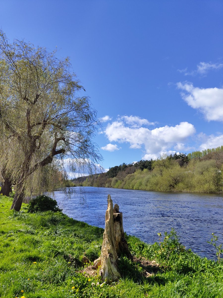 Frank Schiltkamp tweet media