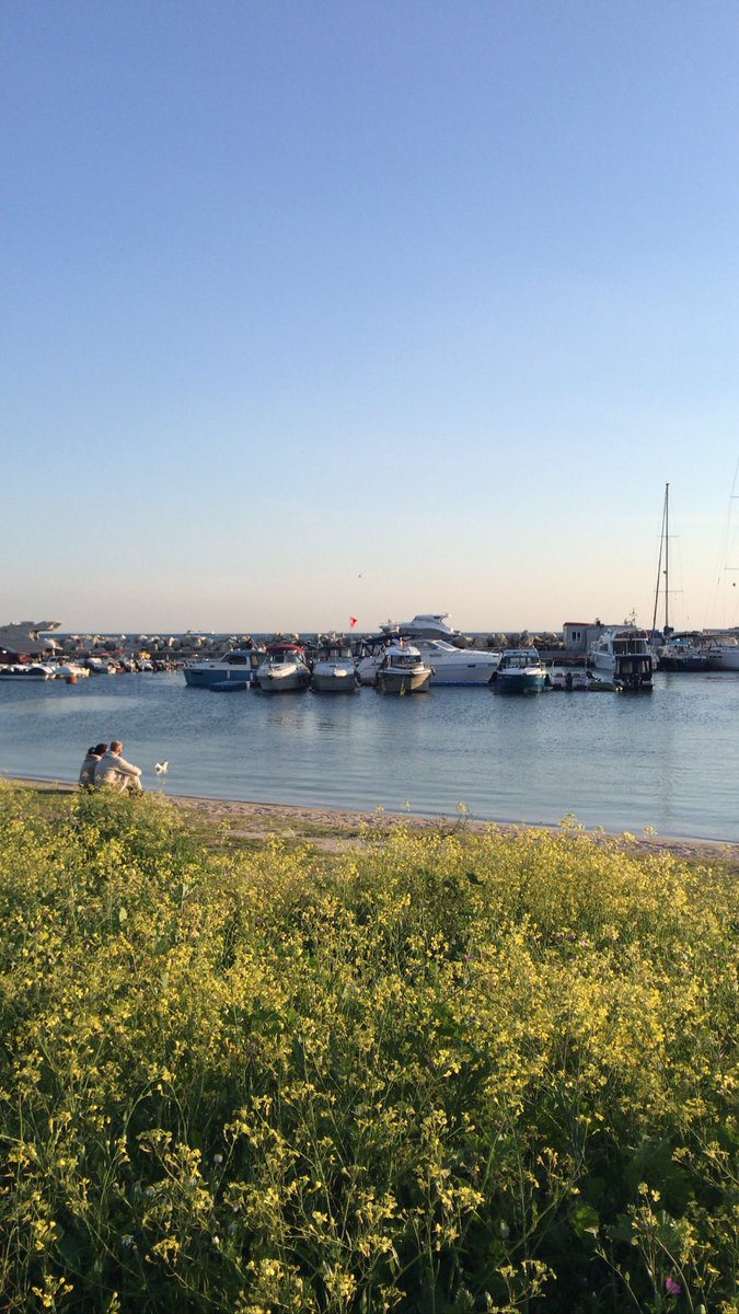 eli_zaim's tweet photo. Late afternoon walks in my neighborhood 😊💛🌼 #Istanbul https://t.co/yatSH1OZE5