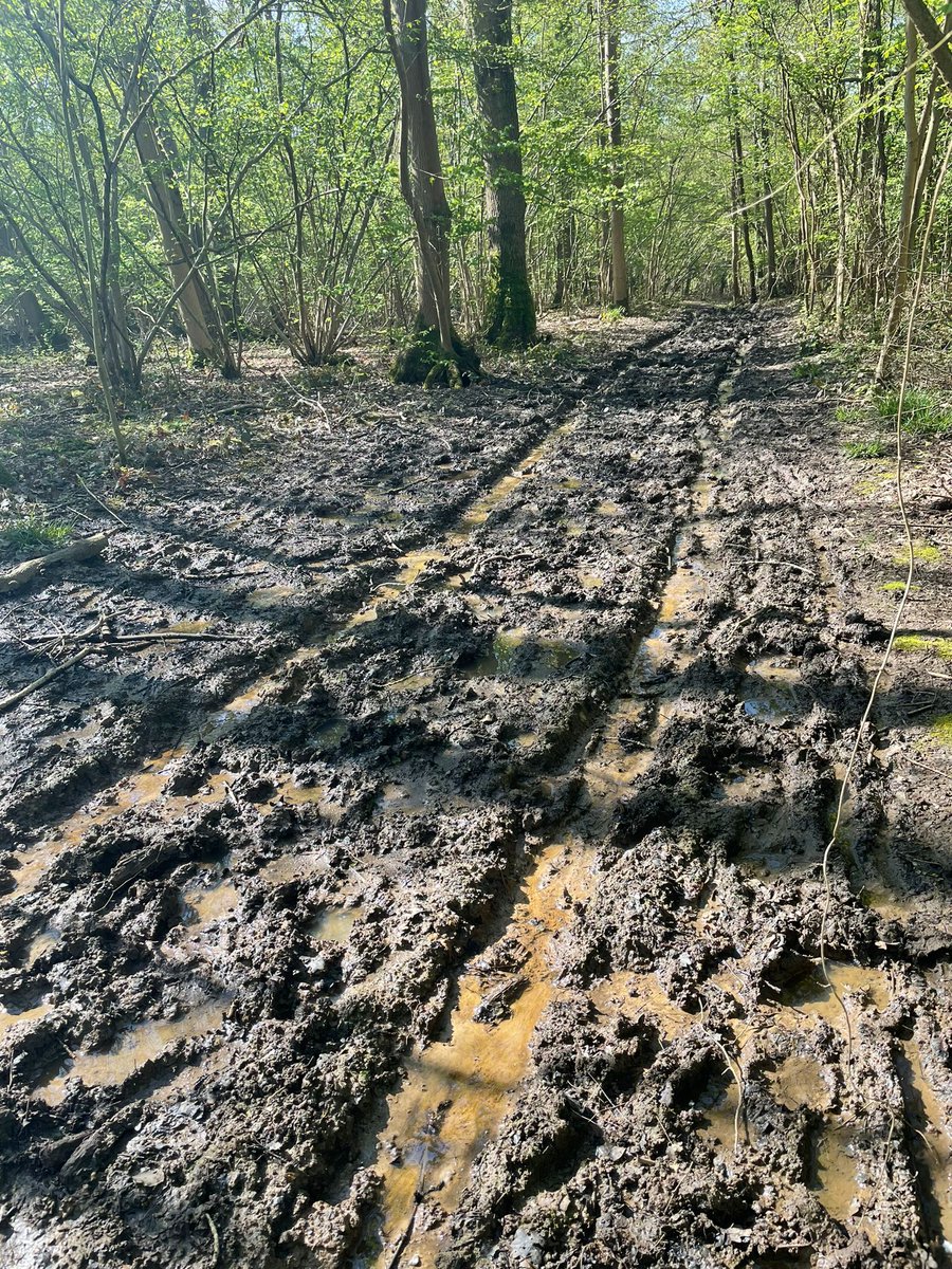 New Malden Velo tweet media