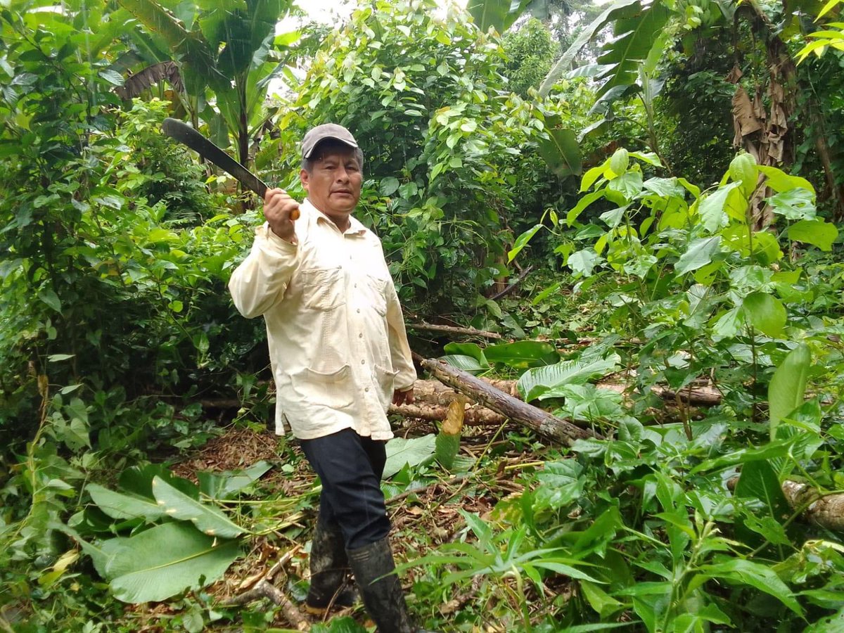 CChumpi's tweet photo. Desde mi comunidad Centro Shuar El Tiink quiero extender un abrazo caluroso a todos los trabajadores de mi patria, que con esfuerzo y sacrificio, día a día impulsan al país hacia adelante. 

#CelestinoChumpi 
#AsambleístaDeTerritorio 
#VivanLosTrabajadores https://t.co/Dgv2iEj8cF