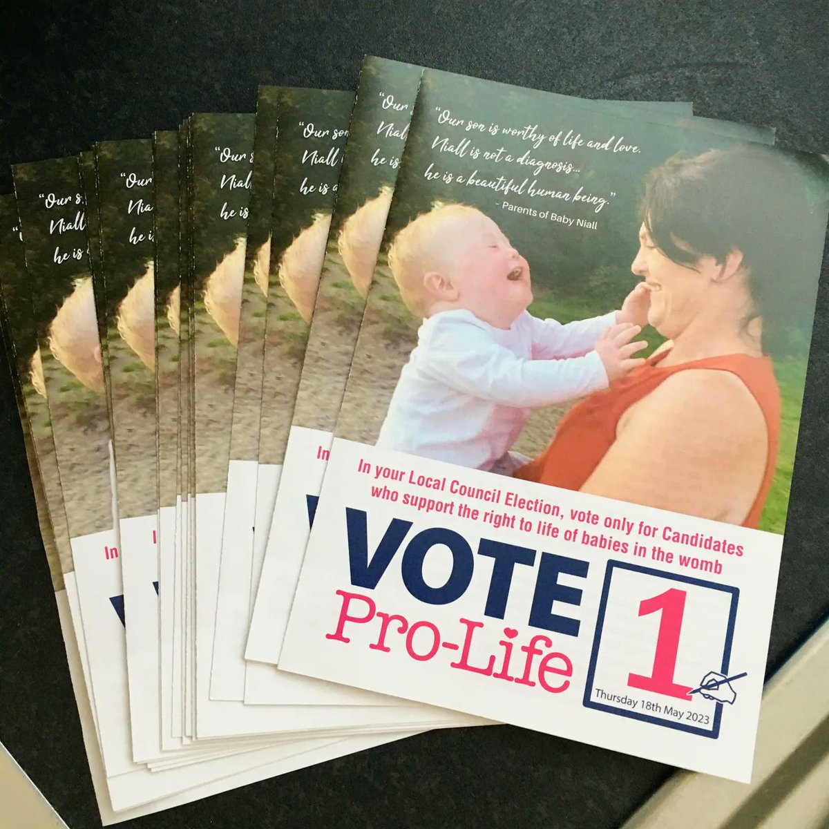 YouthforLifeNI2's tweet photo. Remember - "Without the Right to Life, all other rights are meaningless."
#VoteProLife #protectingboth #everyvotecounts #LE23 https://t.co/xKTYTeW75T