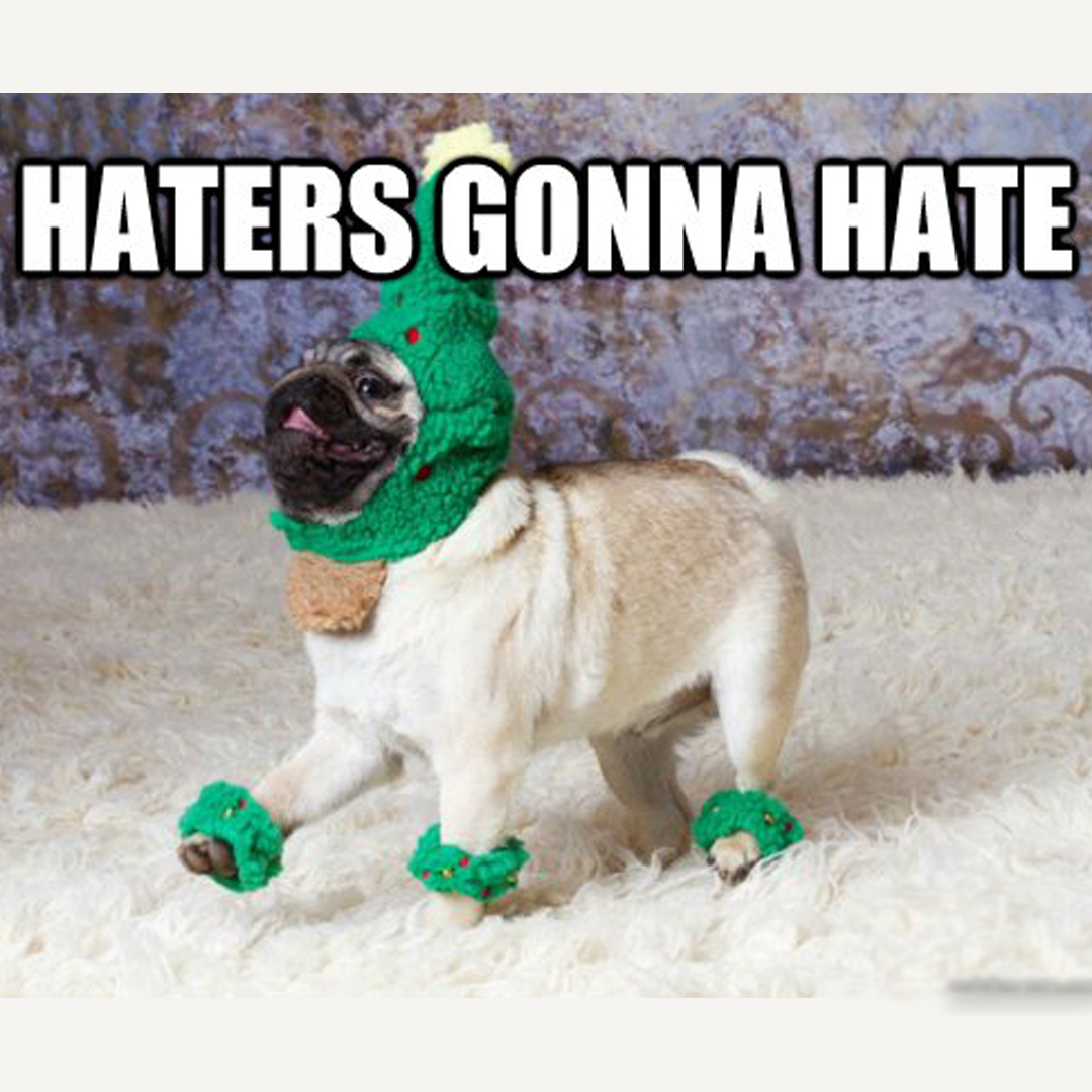 Haters gonna hate.
#doggie #dogtreats #dogclothes #dogsandpals #cutedog #dogworld