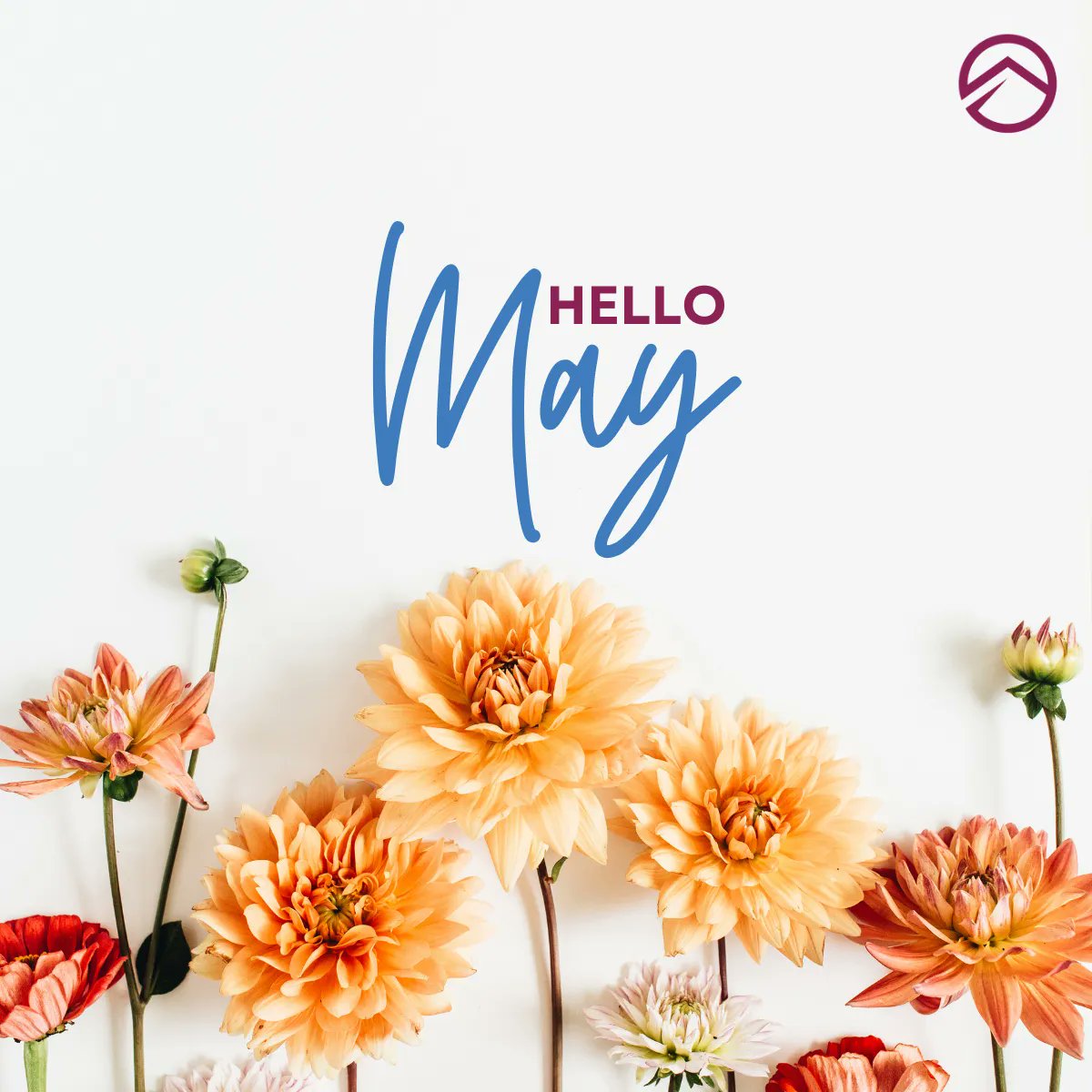 BetterLifeUSA's tweet photo. 🌸 May is here, #BetterLifePartners! 🌼
We're focusing on: 
✅ Mental Health Awareness
✅ Women's Health
✅ Hepatitis Awareness
✅ National Nurses Month 
Stay tuned for tips, stories &amp; expert advice! Join convo w #BetterLifeMay &amp; share your wellness journey. 📸
#HealthAwareness https://t.co/8KSIG9sll3