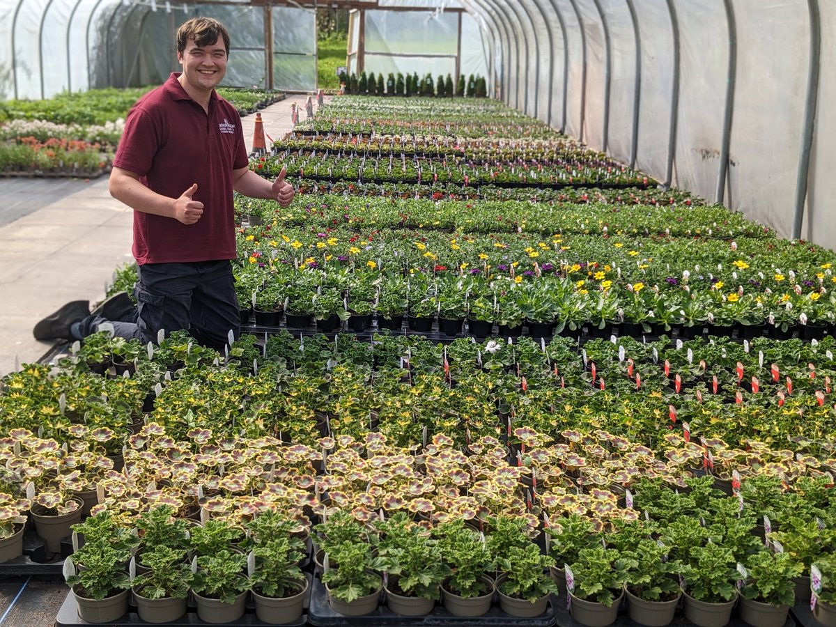 Plants, gown and tended by Radway Bridge Garden Centre, are now ready for purchase. Come in, walk around and let our knowledgeable staff help you with you choice. 🌞#shoplocal #radwaybridgegardencentre #hereford