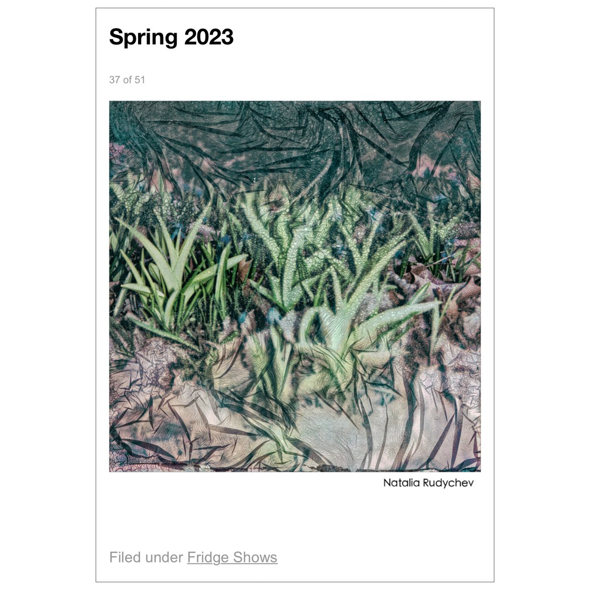 Pleased to be in The Curated Fridge Spring Exhibition curated by Debra Klomp Ching and Darren Ching
thecuratedfridge.com/Fridge-Shows-1…