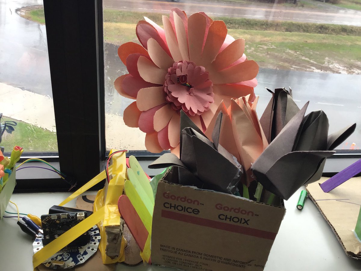 BethDoiron tweet media