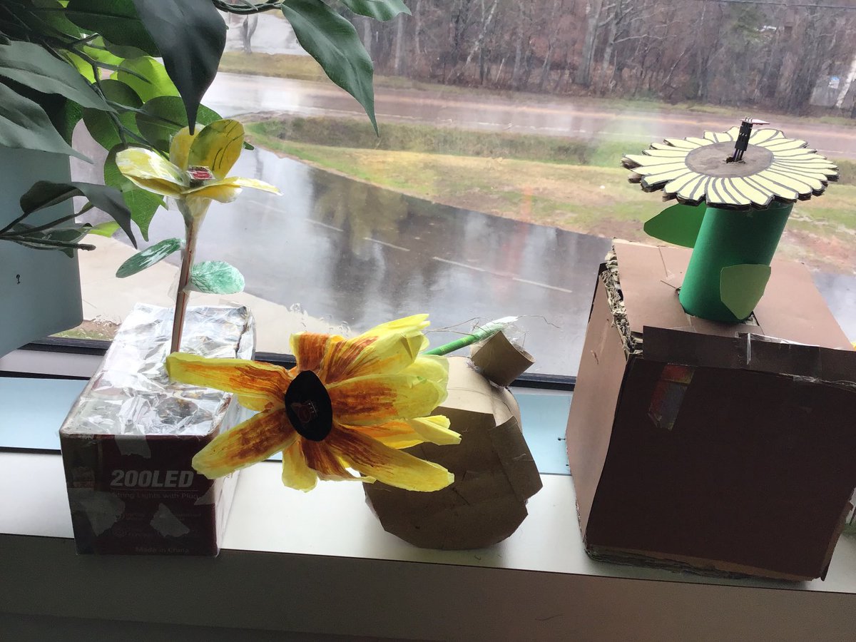 BethDoiron tweet media