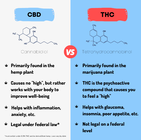 Amour_CBD's tweet image. At AmourCBD, all our products are made from hemp-derived #CBD and have zero THC. Our pain cream has lidocaine as well and is FDA-registered. Go to amourcbd.com to explore our products.
#zerothc #wellness #health #painrelief #anxiety #hemp
