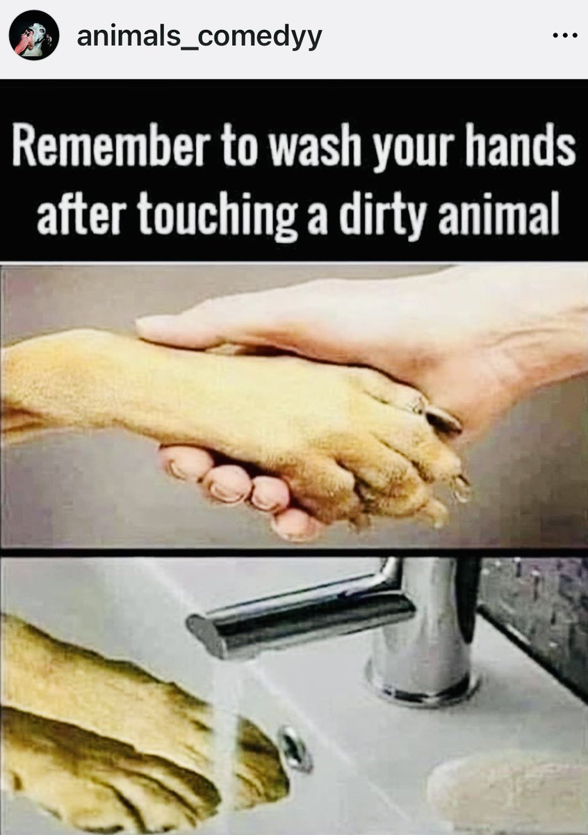 KchandlerIPT's tweet photo. #washyourhands 😂 https://t.co/GseWTbfeDj
