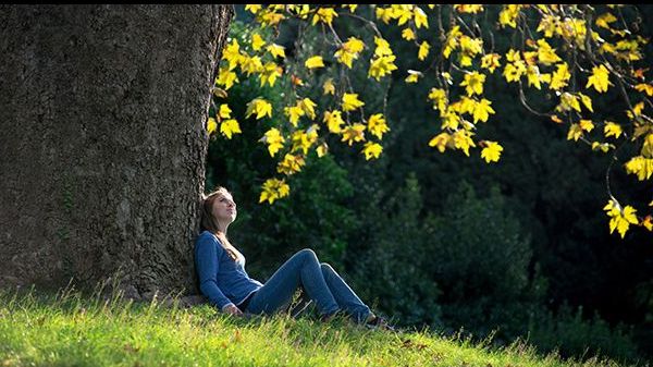 ALLtechBenefits's tweet image. Find out how easy it can be to experience the benefits of nature on your mental health in this month&apos;s ALLhealth e-news! mailchi.mp/c0fcc545111a/g…