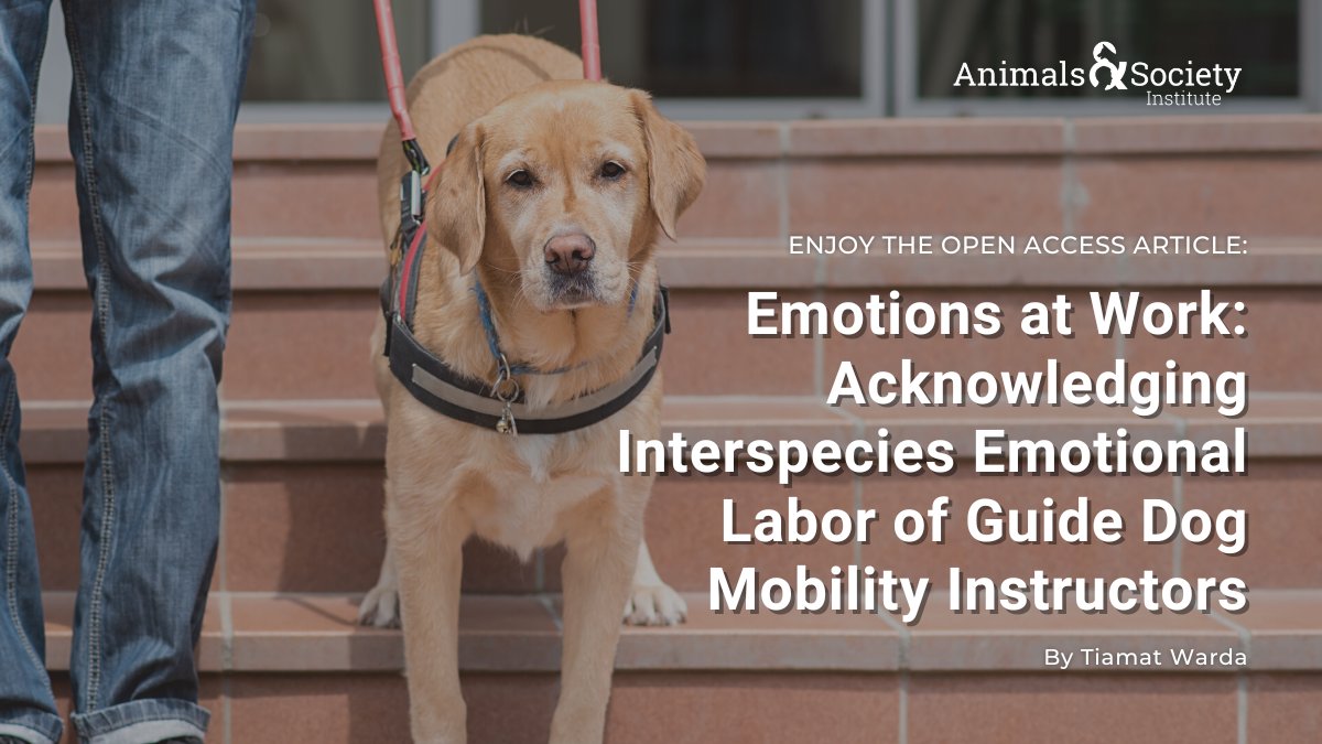 'Since the trainer bore ultimate responsibility for shaping the dog, he needed to be aware of his own emotional presence: a ‘violent and irritable man’ would never succeed in training a useful dog.' Read more: brill.com/view/journals/… #OpenAccess #GuideDog @TiamatWarda