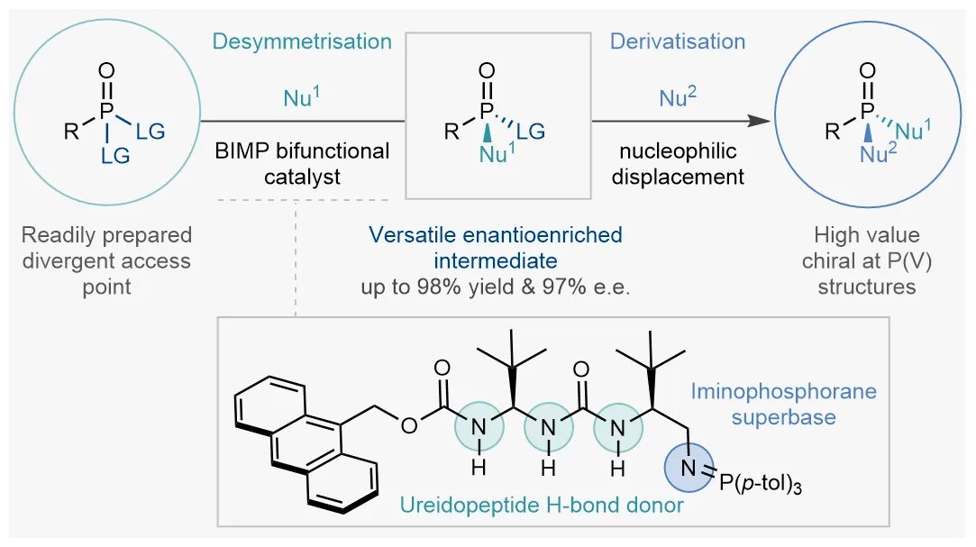 We're thrilled to announce that our enantioselective desymmetrization of phosphorus (V) is now out in Nature Chemistry! 🔥 Congratulations to @formica_michele and the team @tanya_rogova, Yao, Naoto, Bran, @FarleyAlistair @fjduarteg @KenYamazaki5 🎉🎉 nature.com/articles/s4155…