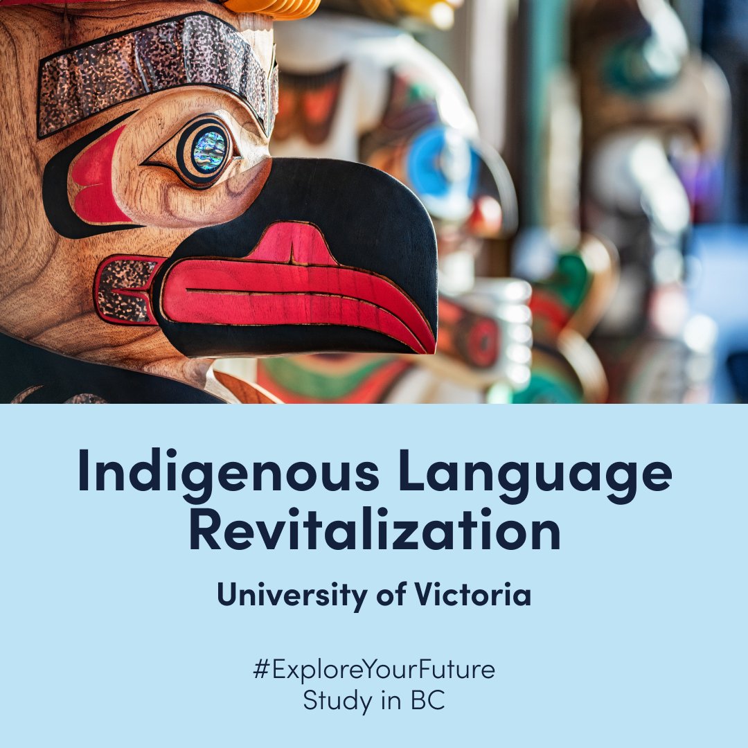 StudyinBC's tweet image. Support Indigenous cultures with UVic's Indigenous Language Revitalization program. Help preserve and promote the rich linguistic heritage. #IndigenousLanguages #StudyInBC #ExploreYourFuture