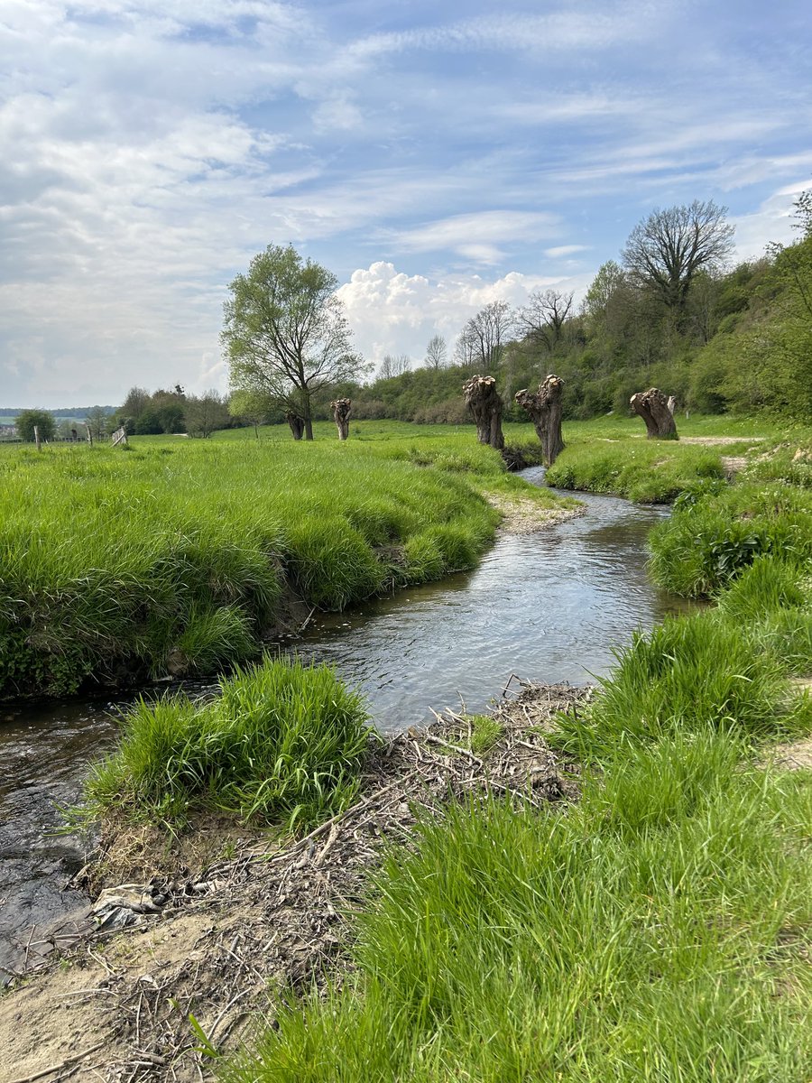 De Selzerbeek bij Wahlwiller (Wilder) kabbelt rustig voort. ⁦<a href="/magnifiekZL/">Magnifiek Zuid-Limburg</a>⁩ Vaals - Gulpen Dutch Mountain Trail