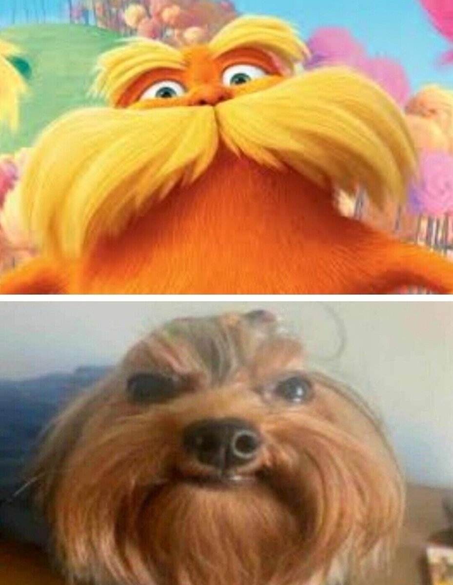 seriamente parecido