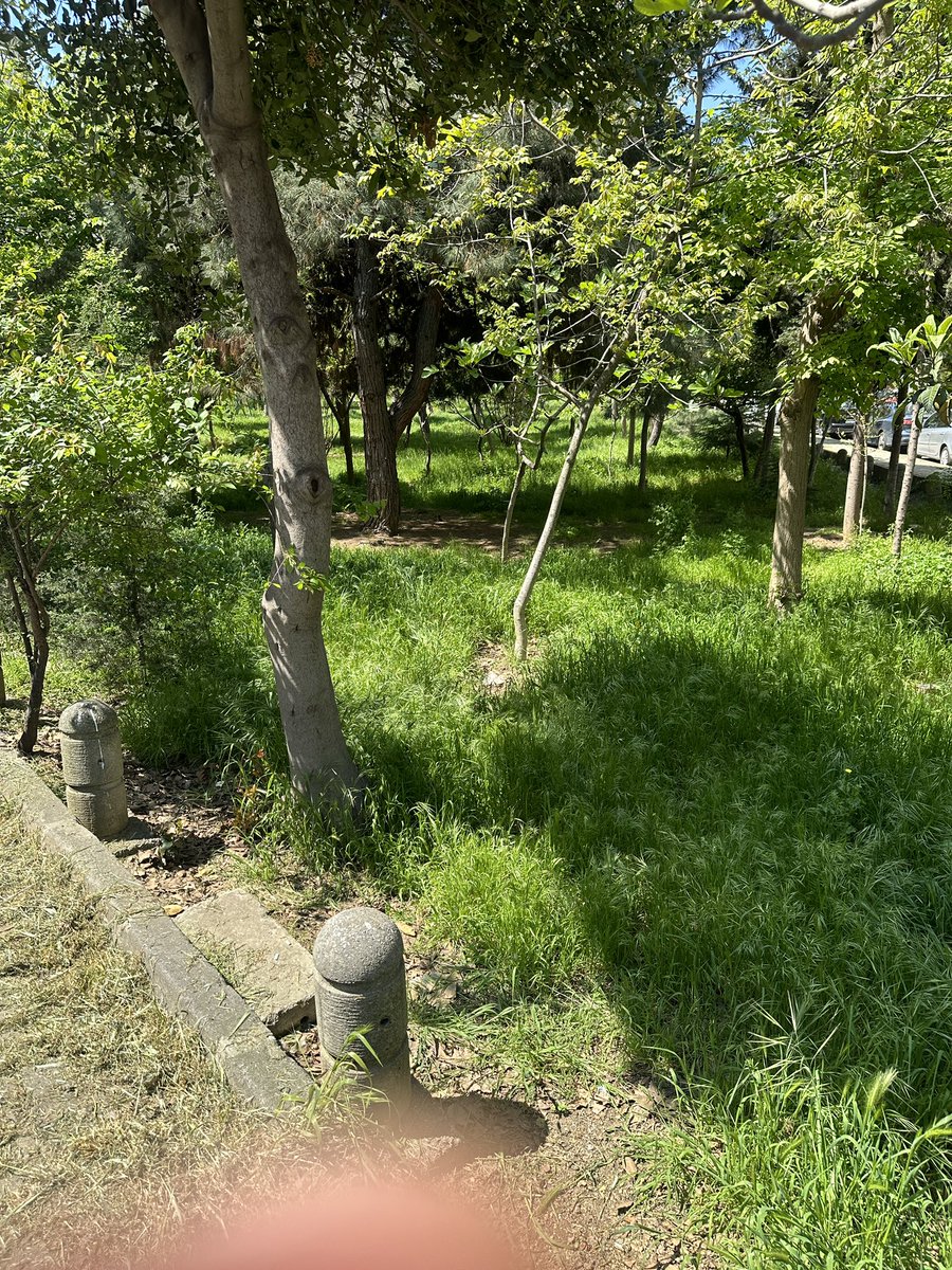 Göztepe Marmaray çıkışında Çemenzar yolundaki  bu ağaçlık alan Kadıköy belediyesine ait ise biraz bakıma ihtiyacı var <a href="/kadikoybelediye/">Kadıköy Belediyesi</a> ,<a href="/serdildara/">Av. Şerdil Dara Odabaşı</a>