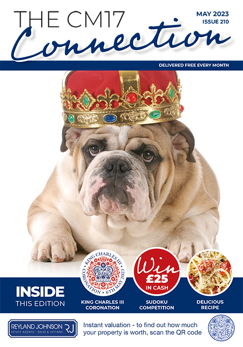 CM_Connection's tweet image. “Many a small thing has been made LARGE by the right kind of advertising.” Mark Twain
#Advertising #Marketing #Print #Magazine #Harlow #Stortford #Business #Trades #Community #Charities #CM17 #CM23 #LoveLocal #LiveLocal
Advertising - mailchi.mp/d61f8a038cb3/a…