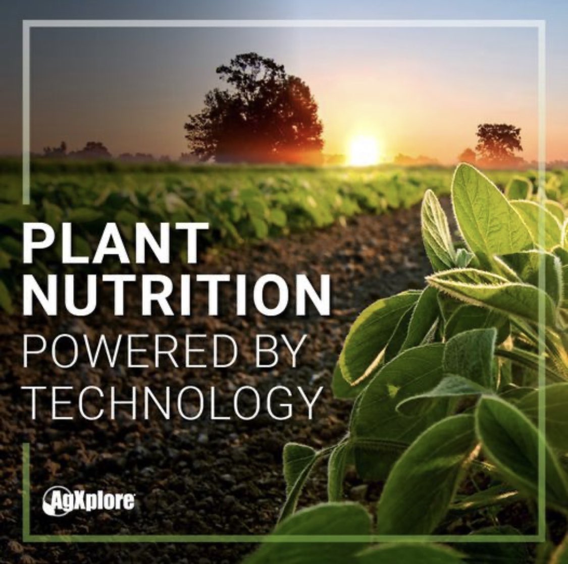 agxplore's tweet photo. Articles | Innovative Technology
Crop nutrition, paired with our exclusive technologies, is the key differentiator in our products. Click the link below to learn more!
https://t.co/U0aVlQzotQ
#growingtogether #upward #establishment #agxplore #plant23 #simplesugars #agriculture https://t.co/Pq76hTwibv