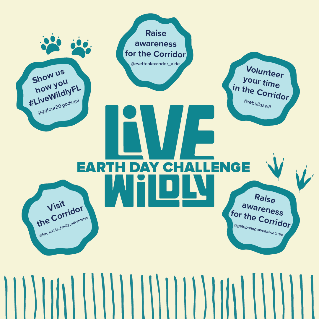 livewildlyfl's tweet photo. You took on the #LiveWildlyFL #EarthDayChallenge like a champ๐ช, and now it's time to see who participated the most! Remember: You can still challenge yourself do these activities to help protect the Earth and nature all around us. https://t.co/APqrbiJWaz https://t.co/eRGbGlfxUu