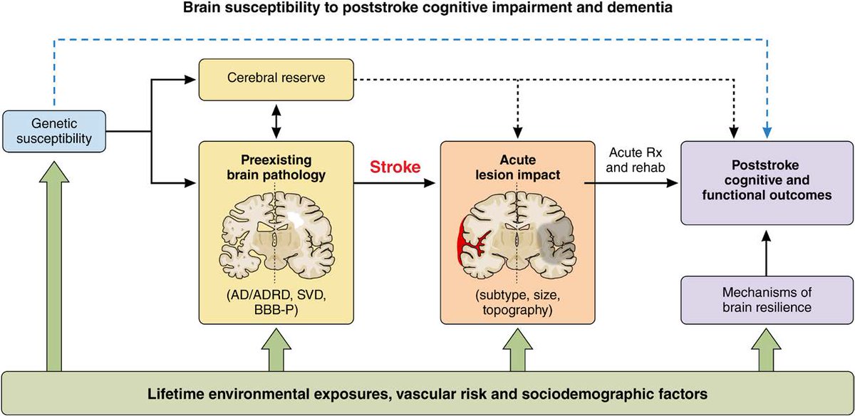 Stroke AHA/ASA (@strokeaha_asa) on Twitter photo Cognitive Impairment After Ischemic and Hemorrhagic Stroke: A Scientific Statement From the American Heart Association/American Stroke Association ahajournals.org/doi/abs/10.116…
@nsanar <a href="/ST_Pendlebury/">Sarah Pendlebury</a> <a href="/hugoapariciomd/">Hugo J. Aparicio, MD, MPH, FAHA</a> @gottesman_lab <a href="/VCI_EricSmith/">Eric_Smith_VCI</a> <a href="/AHAScience/">AHA Science</a> Cognitive Impairment After Ischemic and Hemorrhagic Stroke: A Scientific Statement From the American Heart Association/American Stroke Association ahajournals.org/doi/abs/10.116…
@nsanar <a href="/ST_Pendlebury/">Sarah Pendlebury</a> <a href="/hugoapariciomd/">Hugo J. Aparicio, MD, MPH, FAHA</a> @gottesman_lab <a href="/VCI_EricSmith/">Eric_Smith_VCI</a> <a href="/AHAScience/">AHA Science</a>