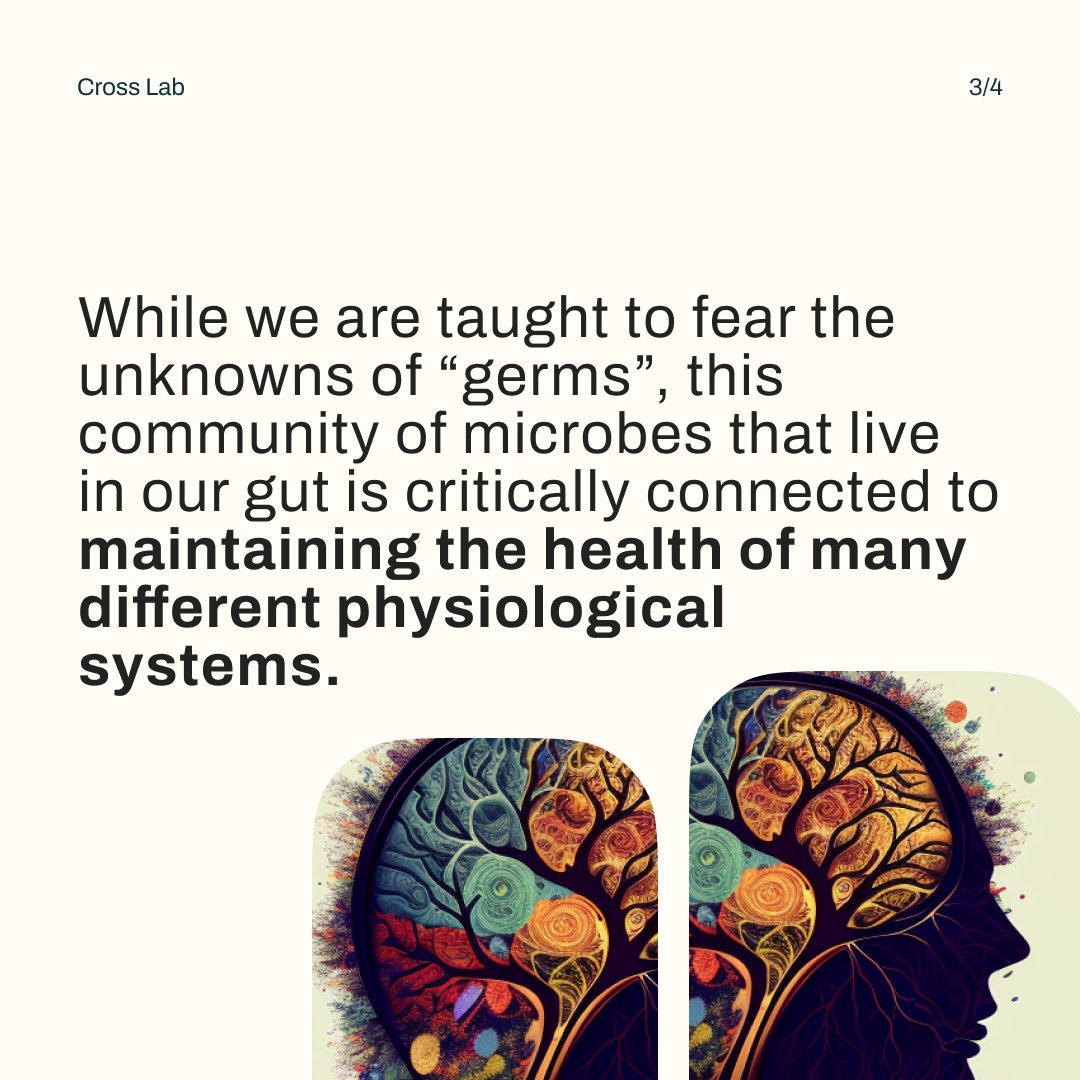 CrossLab_Purdue's tweet photo. Healthy gut, happy life! Your gut microbiota plays a crucial role in maintaining overall health and wellness. Let's give it the care it deserves! 🌿🥦🧬 #GutHealth #Microbiota #HealthyGut #GutFeeling https://t.co/VHMpEUxPAB