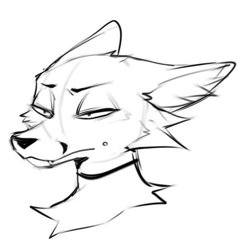 She truly does not, that she can confirm!