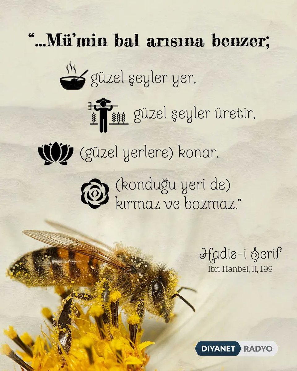 diyanetradyo's tweet photo. ❝...Mü'min bal arısına benzer; güzel şeyler yer, güzel şeyler üretir, (güzel yerlere) konar, (konduğu yeri de) kırmaz ve bozmaz.❞

[Hadis-i Şerif | İbn Hanbel, II, 199]

#Hadis #HadisiŞerif https://t.co/OzTm8fm57p