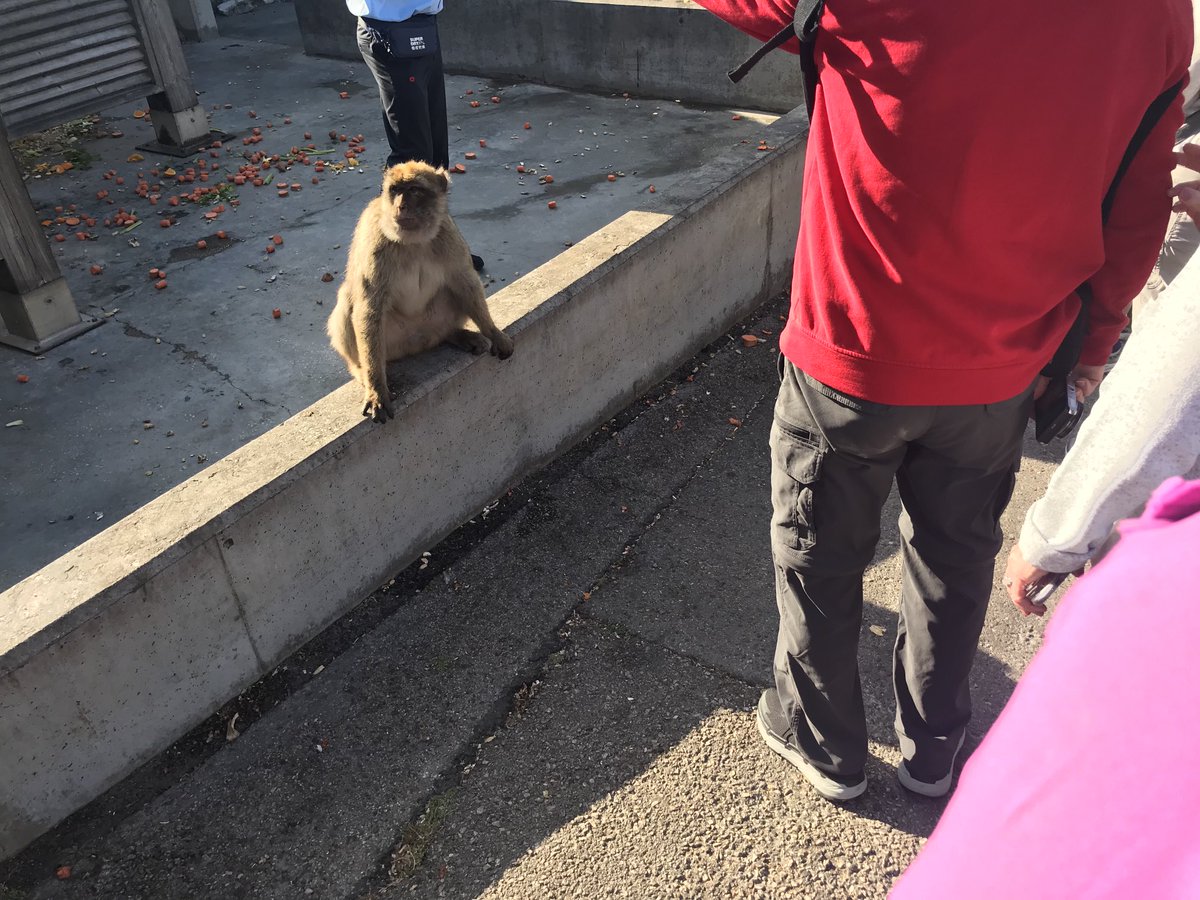 Lance Brown tweet media