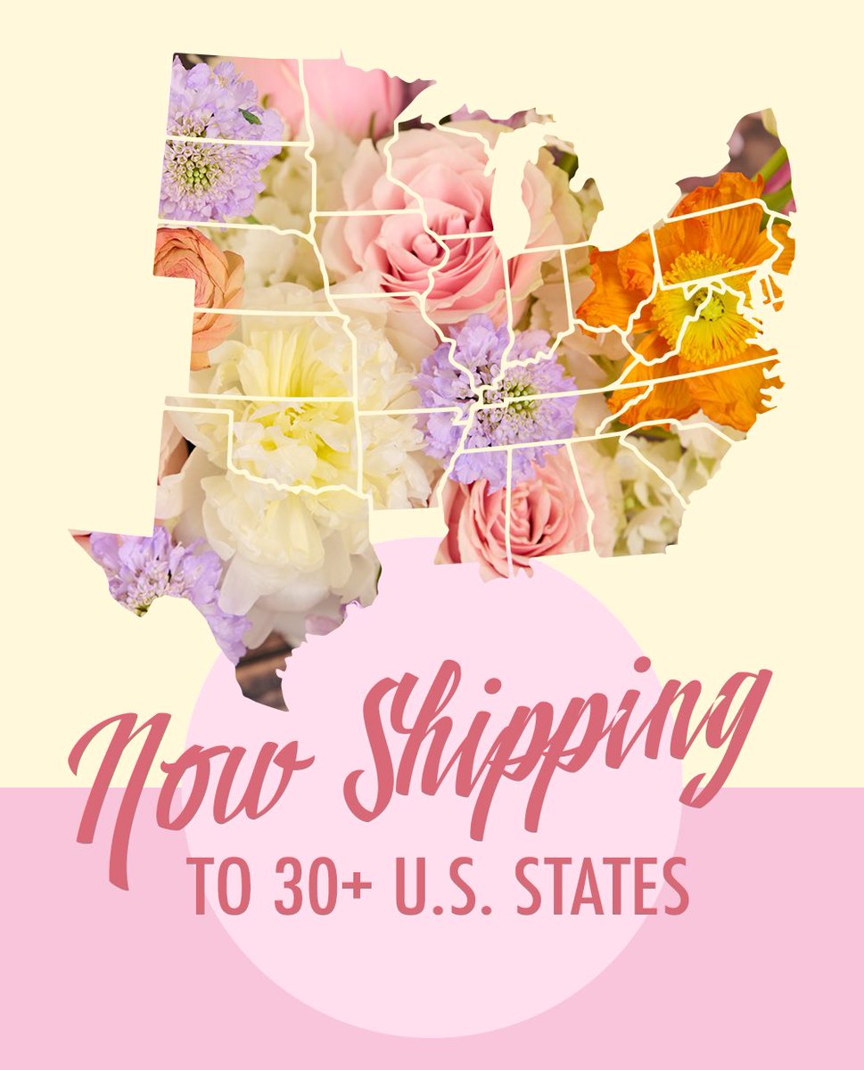 Flowers for Dreams tweet media