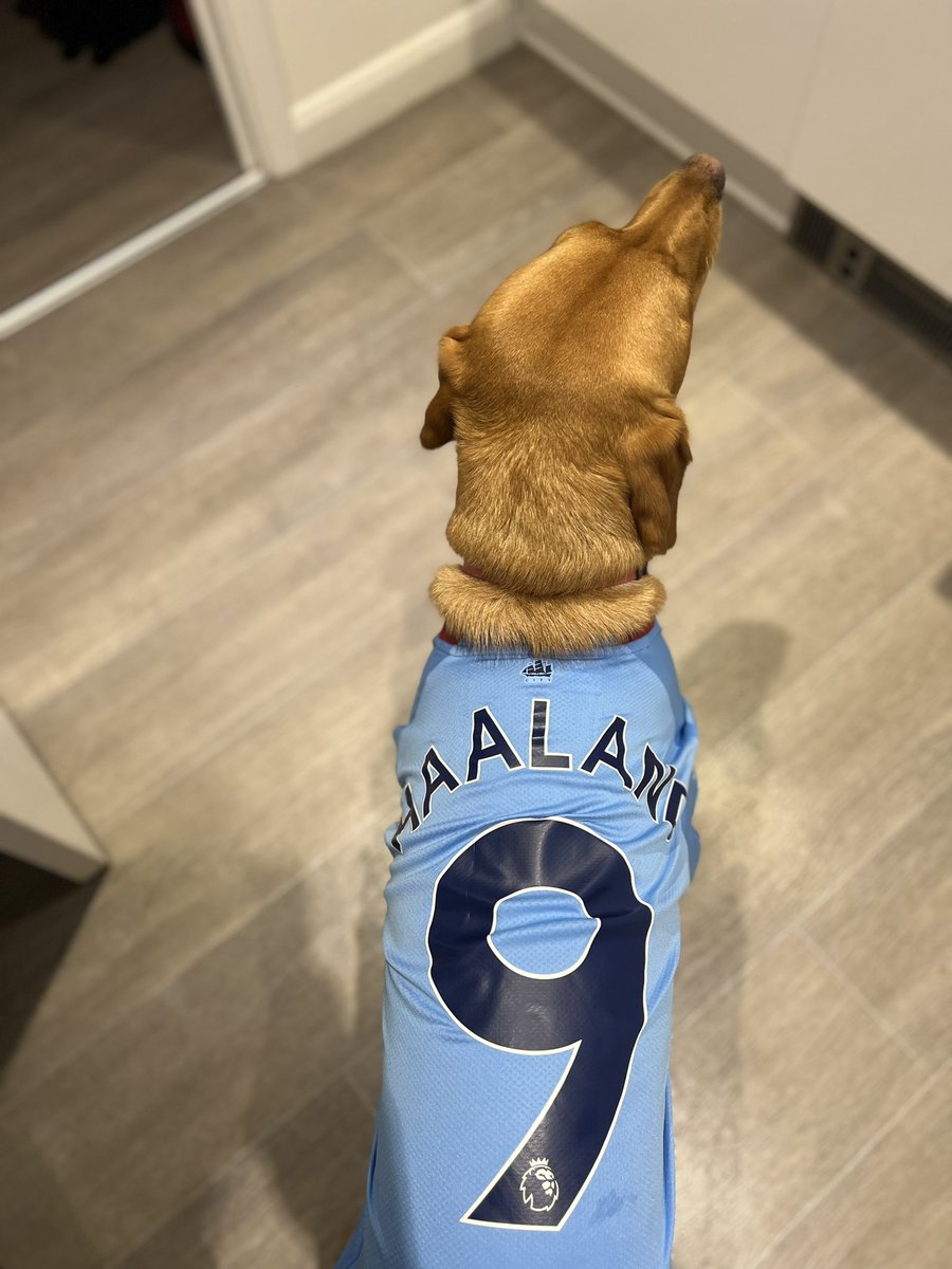 EmissionsFail21's tweet photo. New @ManCity supporter in the family #1 @erling fan 🐶 #CityAsOne https://t.co/zuy0sXtSW2