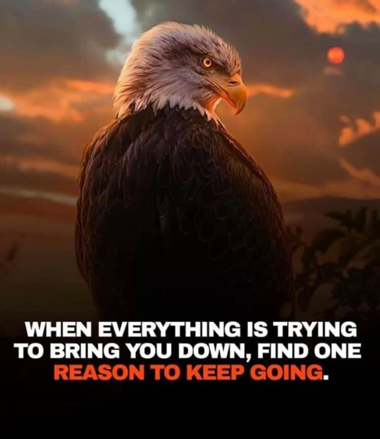 Dr. Marta Chipres Escobar tweet media