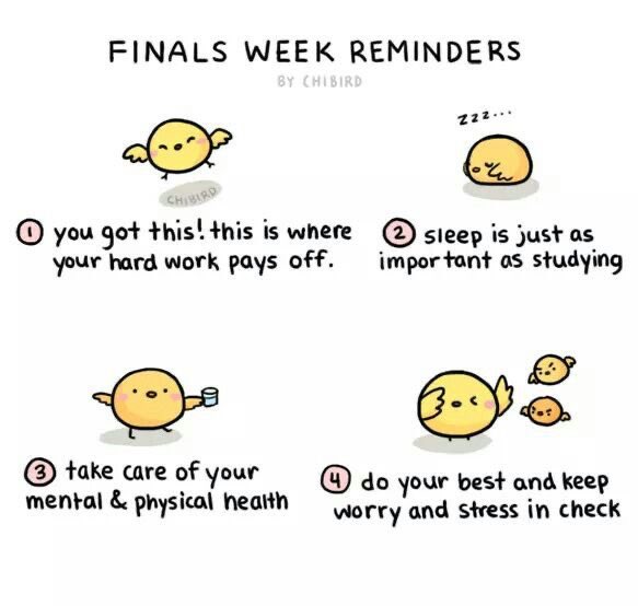 Good luck on finals this week! Remember you got this  #MotivationalMonday