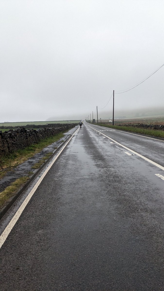 caroline tweet media