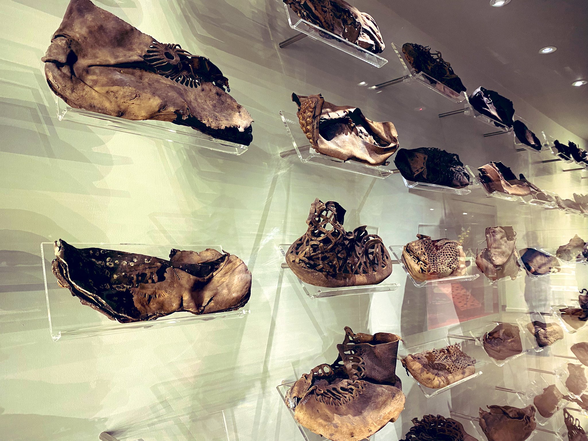 Vindolanda shoes 2025