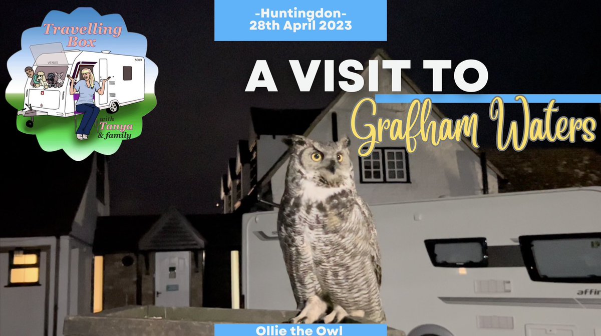 We want away and met an owl

youtu.be/CyzqqSXwmOY