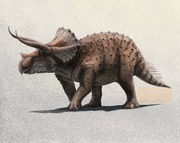 omegafreelancer's tweet photo. L+Ratio'd by Paleo art 

Credit to the artists:

@Achillobator_G 
@Riamus01 
@SerpenIllus 
@FredtheDinoman https://t.co/FCNf1b2zZM