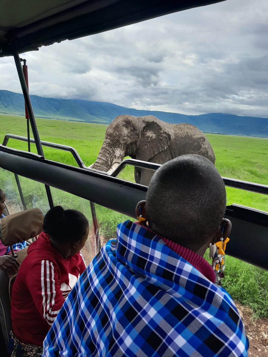 Project Tanzania has gotten off to a great start as we have taken a group of local maasai women on their first game drive into the wonders of the Ngorongoro Crater. 

Human-elephant conflict is a real issue in the area, so these trips are designed to educate and change mindsets.