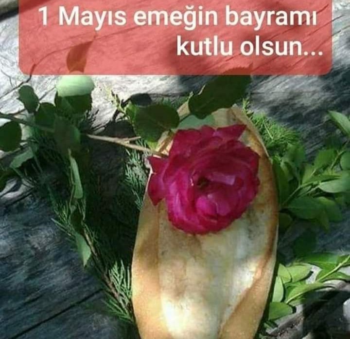 Semiray SEZGIN / (@emresemiray) on Twitter photo 