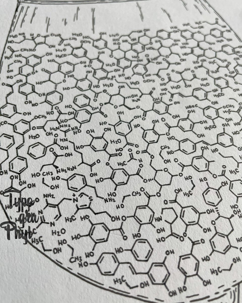 Phil Knutson, PhD ⌬ tweet media