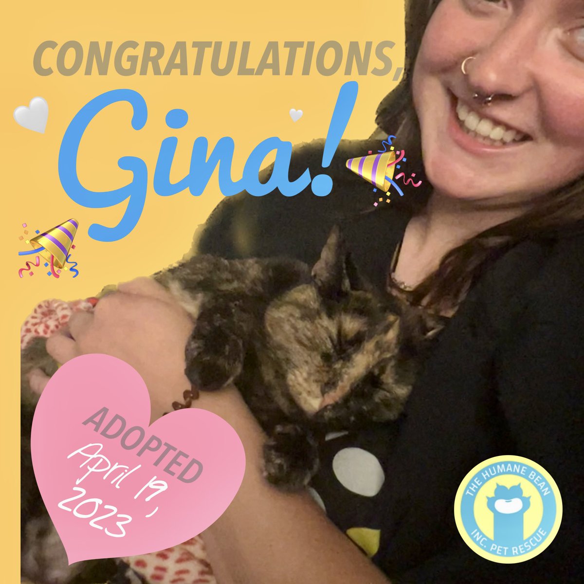 thehumanebean's tweet photo. HUGE UPDATE! After being in foster care for a total of 994 days, Gina has been adopted!!��🎊🎉🎊

We’re so happy Gina has finally found her people, and a little brother too!🐾
Congratulations, Gina! We love you! 💛💙💛

#AdoptDontShop #FosterCat #TheHumaneBean #FosterCatJourney https://t.co/66vu8hRLOn