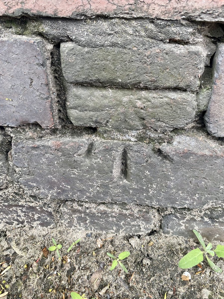 HellingtonBoots's tweet photo. Found 3 more cut-marks on our Walkies from home. 🐾🙌🏼
These OS Benchmarks are fun to look out for and are now mapped on the TrigPointing app that I use.
#CutMarks #OSBenchmark #LegsAndLaces @bmdorguk https://t.co/uyJfsRHPnh