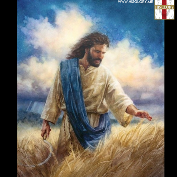 HISGLORYME's tweet photo. He answered and said to them: βHe who sows the good seed is the Son of Man. The field is the world, the good seeds are the sons of the kingdom, but the tares are the sons of the wicked one. Matthew 13:37-38(NKJV)
https://t.co/9GifnxnjRc
https://t.co/66OCUmkP5b
#inChristJesus https://t.co/vXVzPZO0qe