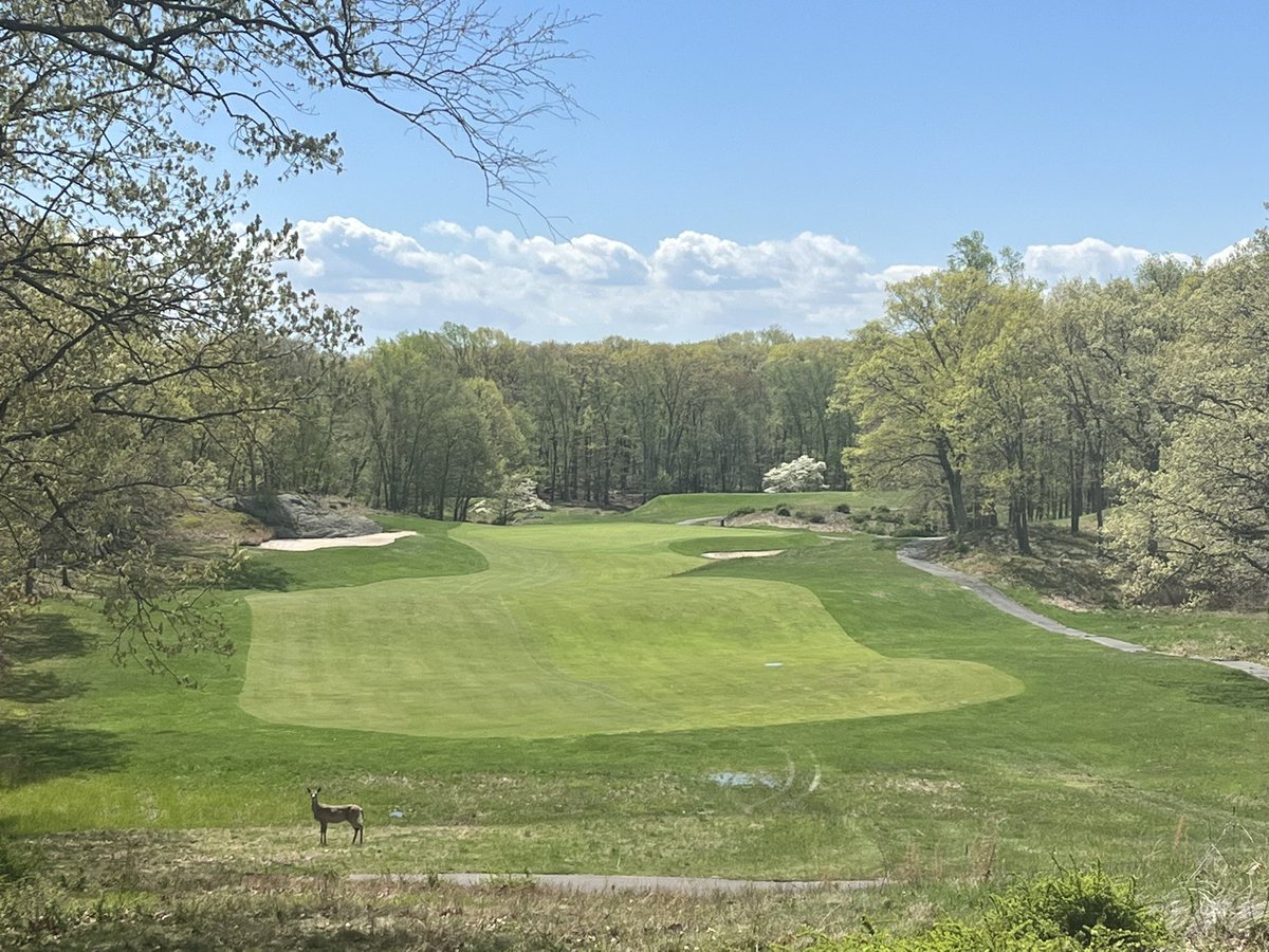 Yale Golf Course on Twitter "Yale GC opens the 2023 golf season tomorrow!"