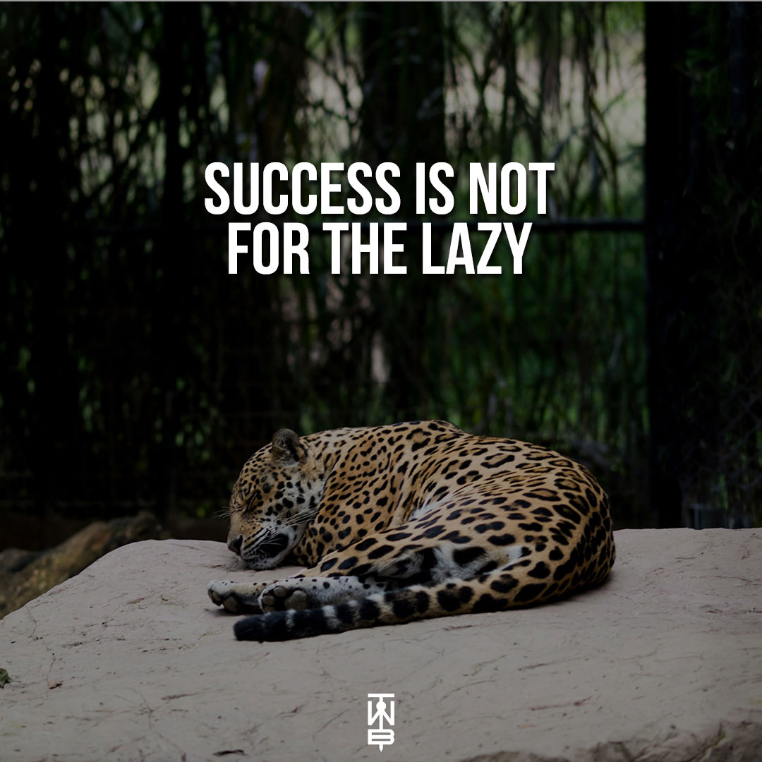 Success Is Not For The Lazy