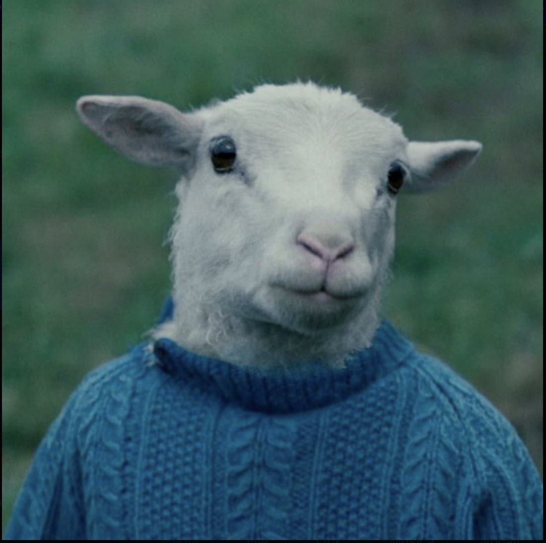 VAMOS we won 4-2 against <a href="/Cap_Underdogs/">Capital Underdogs</a> in week 2 of the <a href="/DesafioLatamVGC/">VCL (Season 6)</a> VCL
#vamosagoyones