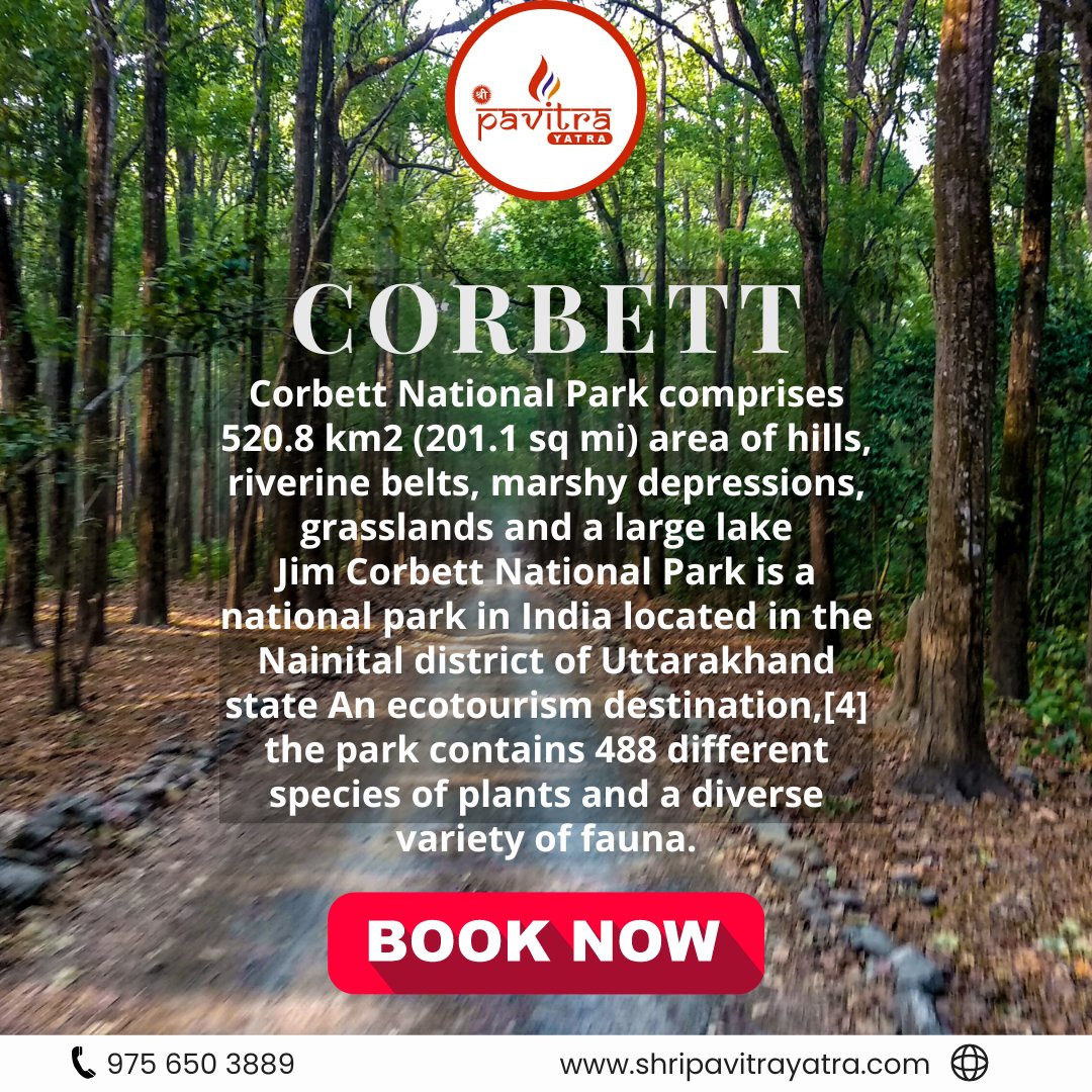 Corbett National Park 
Book Now👇
📞+91 9756503889
#uttrakhand #nainital #kumauni #nature #travelergirl #uttarakhandtourism #uttarakhandtraveller #traveling #shreepavitra #nainital #bhimtal #fearlesslife #flyinghigh #mountainlife #hills #amazingview