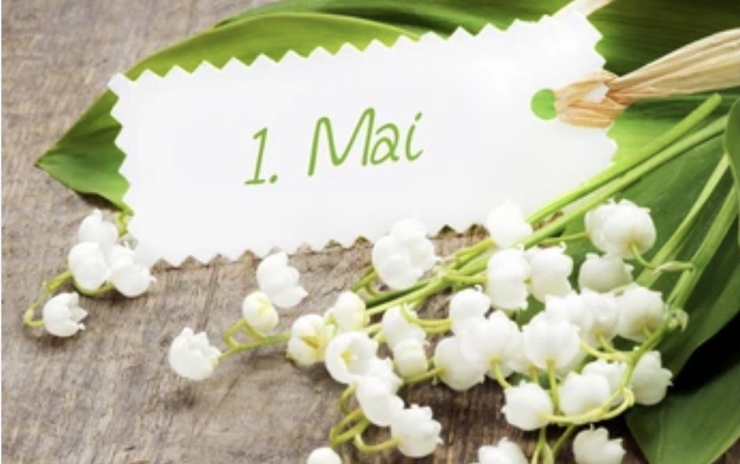 luisatorralba's tweet photo. Feliz 1 de Mayo https://t.co/R8WYu4v665